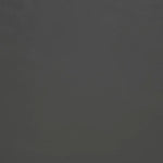 Solid dark gray color swatch