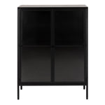 Newcastle Low 2 Door Display Cabinet in Matt Black