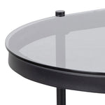 Bayonne Oval Coffee Table with Smoked Glass Top 