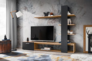 Eco Entertainment Unit 