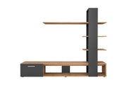 Eco Entertainment Unit 