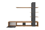 Eco Entertainment Unit 