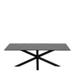 Heaven Ceramic Coffee Table in Black 