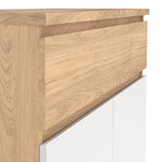 Naia Shoe Cabinet with 2 Doors +1 Drawer 
