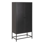 Newcastle 2 Door Cabinet in Matt Black 