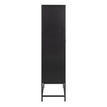 Newcastle 2 Door Cabinet in Matt Black 