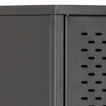 Newcastle 2 Door Cabinet in Matt Black 