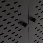Newcastle 2 Door Cabinet in Matt Black 