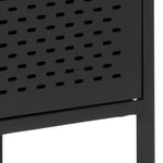 Newcastle 2 Door Cabinet in Matt Black 