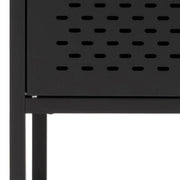 Newcastle 2 Door Cabinet in Matt Black 