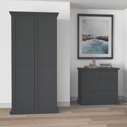 Paris Wardrobe with 2 Doors in Matt Grey 