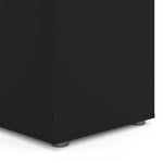 Pepe Wardrobe with 3 Doors in Black 