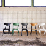 Roxby Dining Chair in White Set of 2 