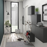 Shoes Shoe Cabinet 2 Flip Down Doors and 1 layer in Matt Black 