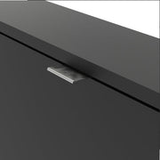 Shoes Shoe Cabinet 3 Flip Down Doors and 1 layer in Matt Black 